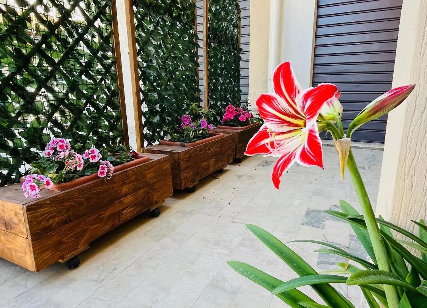 Al Manzil Apartment Locogrande Italy
